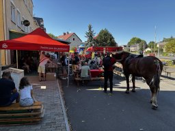 Úšovice se baví – 15. srpna 2026